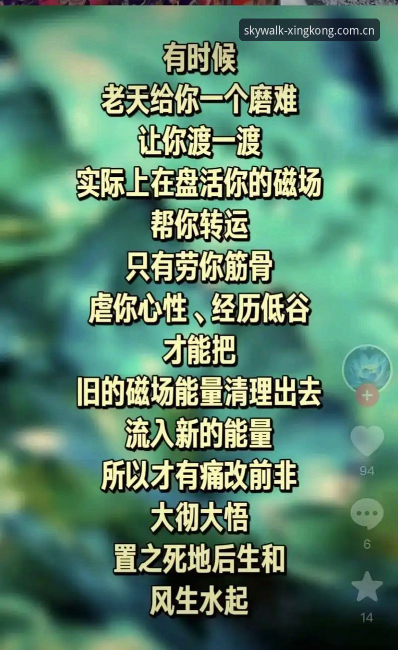 关注星空体育平台电脑版最新动态：老用户分享v2.1.0版本使用心得与常见问题解答